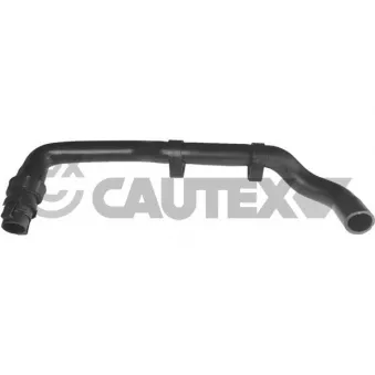 Durite de radiateur CAUTEX 036053