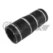 CAUTEX 036085 - Durite de radiateur