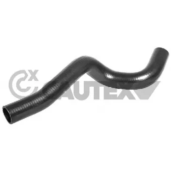 CAUTEX 036124 - Durite de radiateur