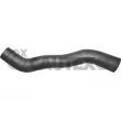 CAUTEX 036173 - Durite de radiateur