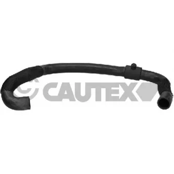 Durite de radiateur CAUTEX 036448