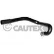 CAUTEX 036450 - Durite de radiateur
