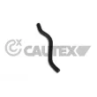 CAUTEX 036451 - Durite de radiateur