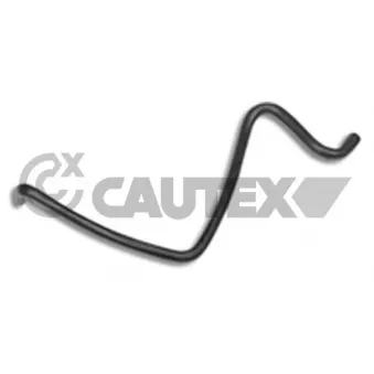 CAUTEX 036463 - Durite de radiateur