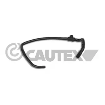 CAUTEX 036465 - Durite de radiateur