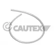CAUTEX 036477 - Durite de radiateur