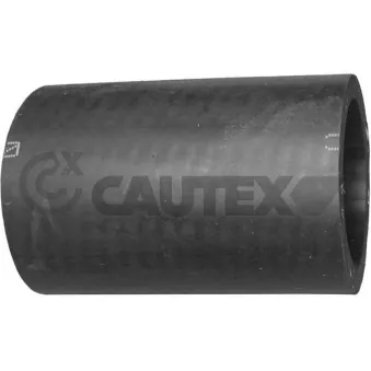 CAUTEX 084002 - Durite de radiateur