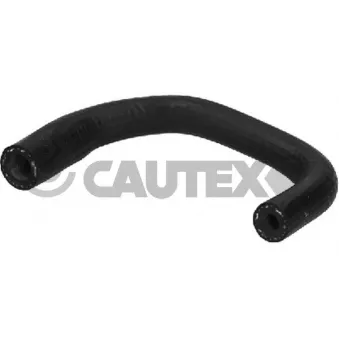CAUTEX 086016 - Durite de radiateur
