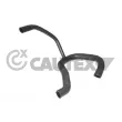 CAUTEX 086021 - Durite de radiateur