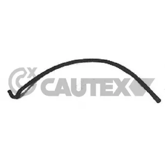 Durite de radiateur CAUTEX OEM 6191286