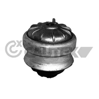 Support moteur CAUTEX OEM 2012401217