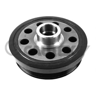 Poulie, vilebrequin CAUTEX OEM 11237799153