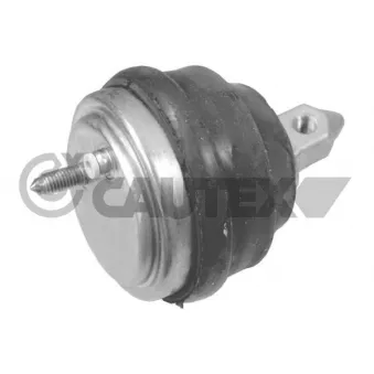 Support moteur CAUTEX OEM 22111096514