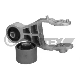 Support moteur CAUTEX OEM 13117088