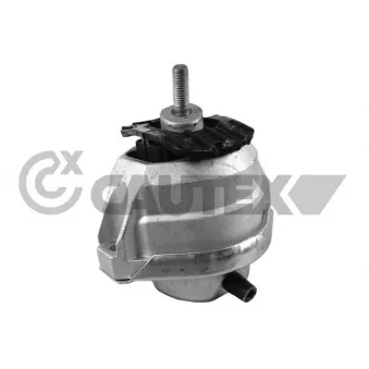 Support moteur CAUTEX OEM 22117761091