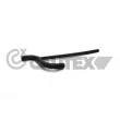 CAUTEX 226378 - Durite de radiateur