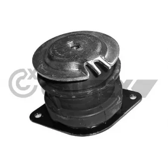 Support moteur arrière droit CAUTEX OEM 1H0199262J