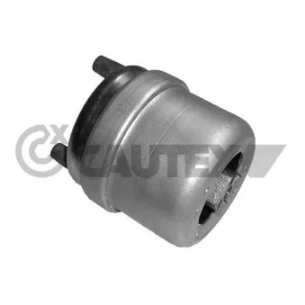 Support moteur CAUTEX OEM 7D0199132E