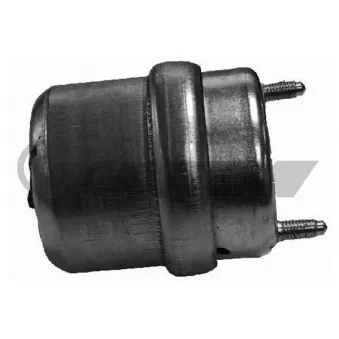 Support moteur CAUTEX 461039