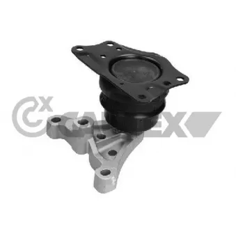 Support moteur CAUTEX OEM 6Q0199167DL