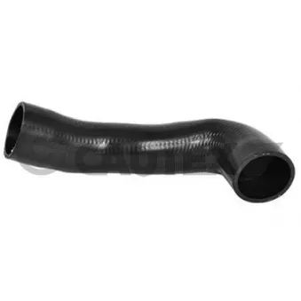 Gaine de suralimentation CAUTEX OEM 6R0145832A