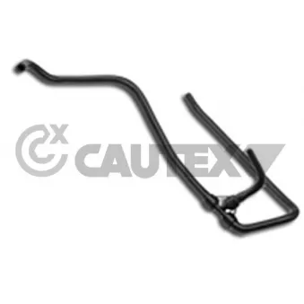 CAUTEX 481121 - Durite de radiateur