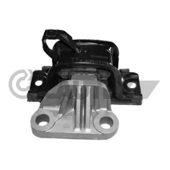 Support moteur CAUTEX OEM 13130745