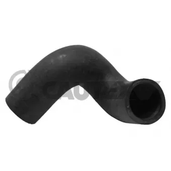 CAUTEX 486096 - Durite de radiateur