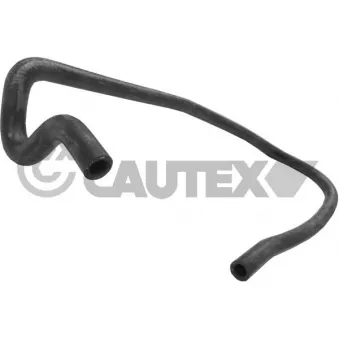 CAUTEX 486111 - Durite de radiateur