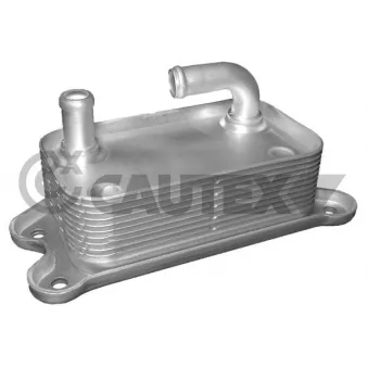 Radiateur d'huile CAUTEX OEM 31201909
