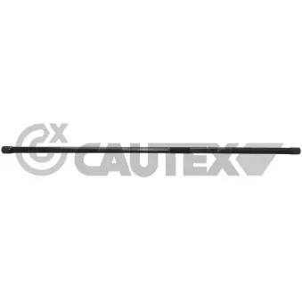 CAUTEX 750082 - Goujon fileté, barre de torsion arrière droit