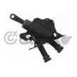 CAUTEX 750262 - Cylindre émetteur, embrayage