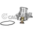CAUTEX 750799 - Bride de liquide de refroidissement