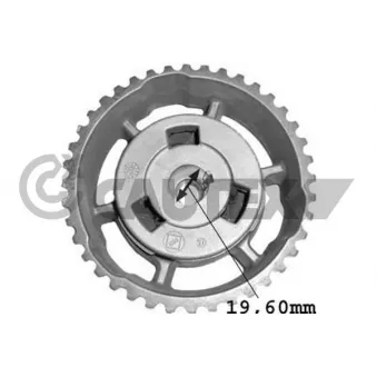 Pignon, pompe d'injection CAUTEX 751102