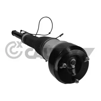 Armortisseur pneumatique arrière gauche CAUTEX OEM 2213205513