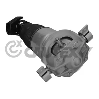 Armortisseur pneumatique arrière gauche CAUTEX OEM 95535801912