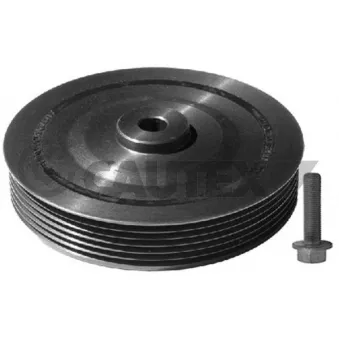 Kit de poulies, vilebrequin CAUTEX OEM 7700115309