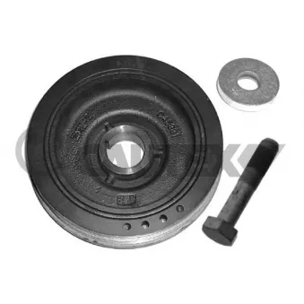 Kit de poulies, vilebrequin CAUTEX OEM 0515L8