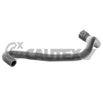 CAUTEX 752672 - Durite de radiateur