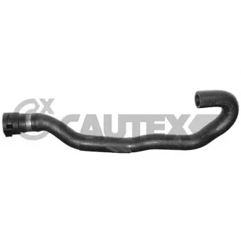 CAUTEX 752678 - Durite de radiateur