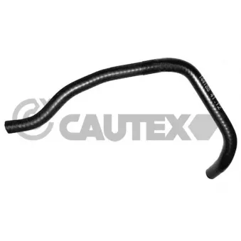 CAUTEX 752681 - Durite de radiateur