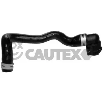 CAUTEX 752752 - Durite de radiateur