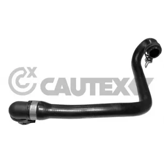 CAUTEX 752831 - Durite de radiateur