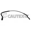 CAUTEX 752895 - Durite de radiateur
