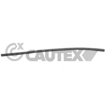 CAUTEX 752923 - Durite de radiateur