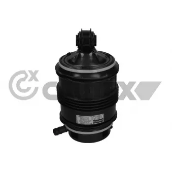Ressort pneumatique, châssis arrière droit CAUTEX OEM A211320082580