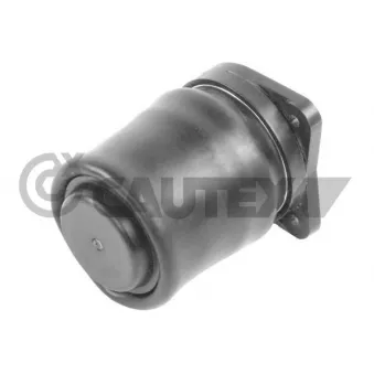 Ressort pneumatique, châssis CAUTEX OEM A6383280501