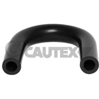 CAUTEX 753266 - Durite de radiateur