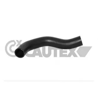 Durite de radiateur CAUTEX OEM 254111R300