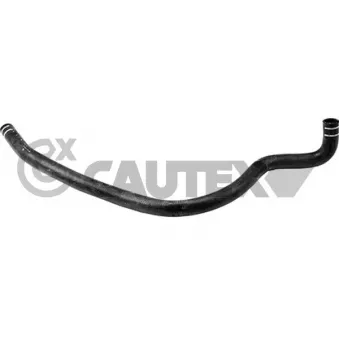 CAUTEX 753382 - Durite de radiateur